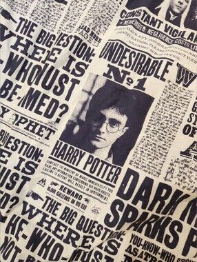 Pottery Barn Harry Potter Newspaper Print Daily Prophet Twin Duvet Cover Bedding